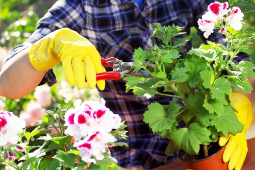 Eco-friendly garden waste disposal methods