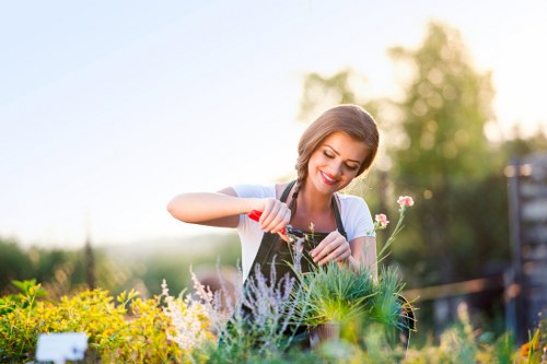 Beautifully cleared garden with organized waste