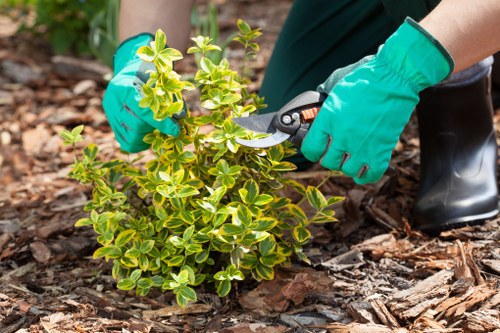 Eco-friendly disposal methods for garden waste