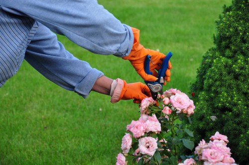 Choosing the right garden clearance service